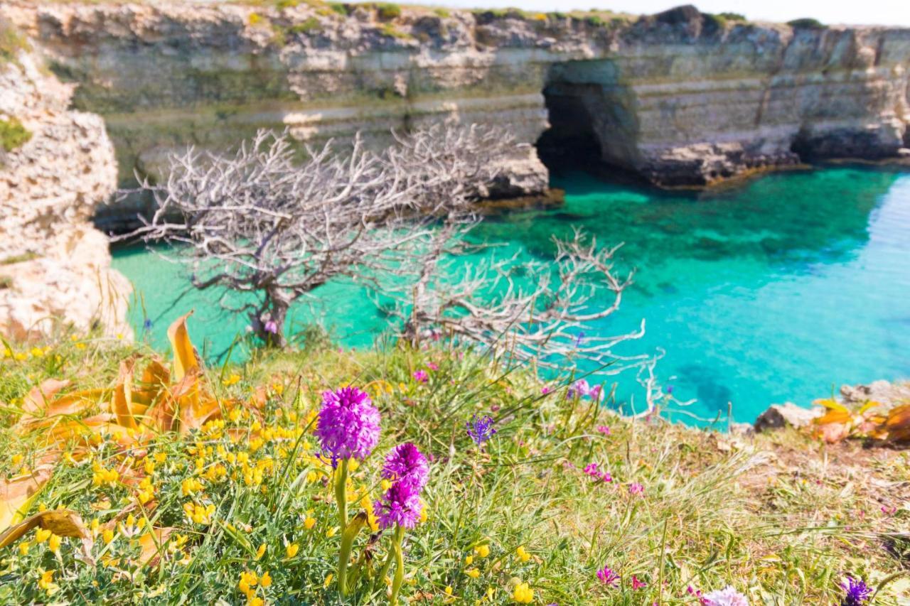 Casa Vacanze Frida In Salento Οτράντο Εξωτερικό φωτογραφία